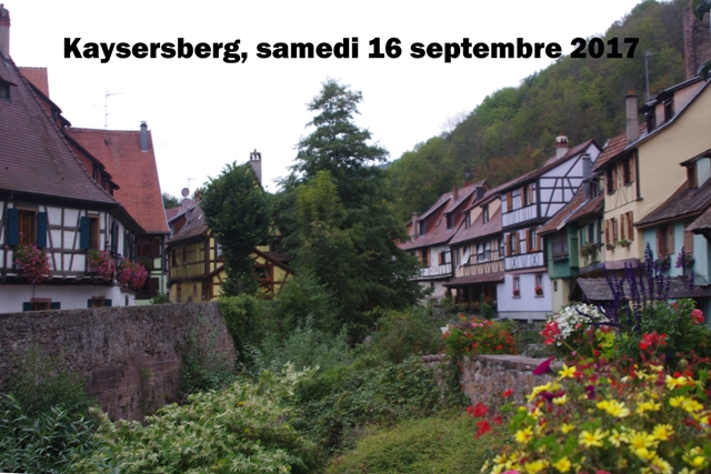 e5ca5d1dc3c039ee6f48a760a1bb6e73