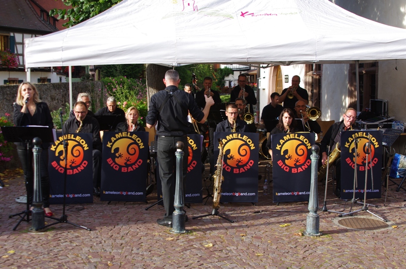 0f1bc65c50cc2d66e5a510fd0d70fd62