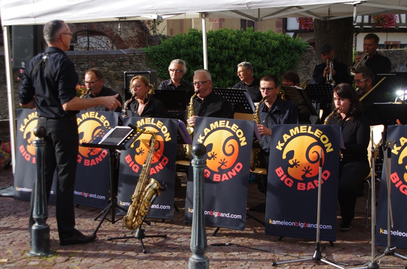 8ae1096bcfbc8b0475ad99cfd5009c24